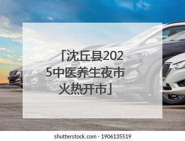 沈丘县2025中医养生夜市火热开市